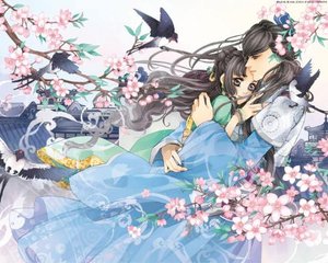 蘑菇在线免费